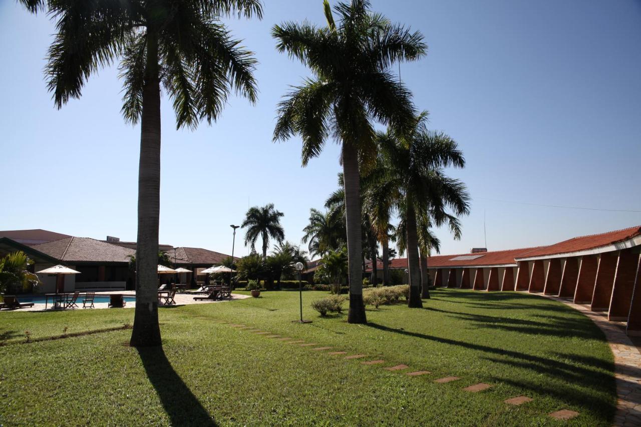 Jardim com palmeiras no Ipê Park Convention Hotel