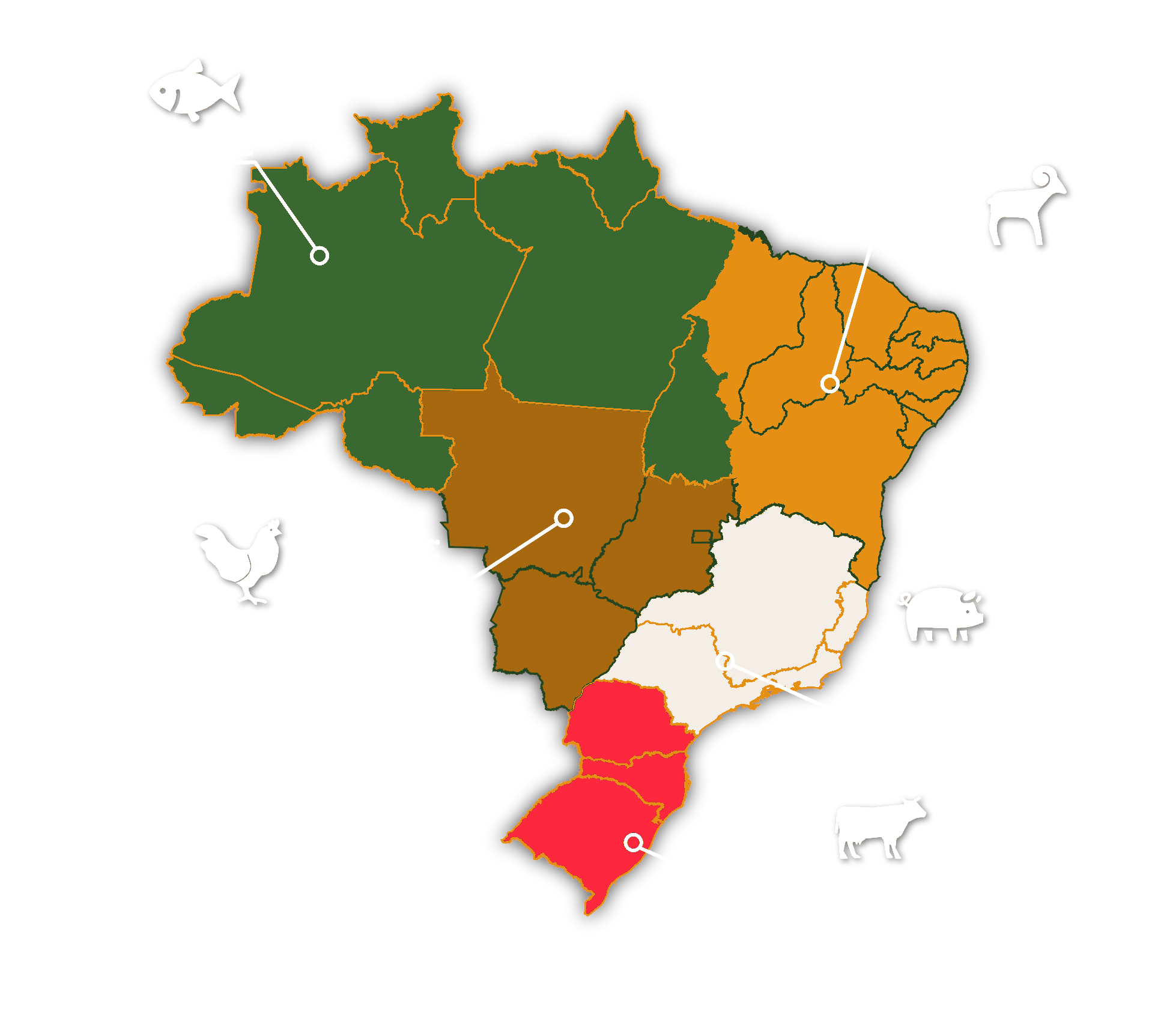Mapa do Brasil com as cinco regiões e o tipo de carne de cada estação
